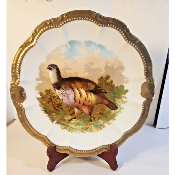 Hand Painted P.M. Bavaria Game Bird Plate 10" Porzellanfabrik Moschendorf - Picture 1 of 11